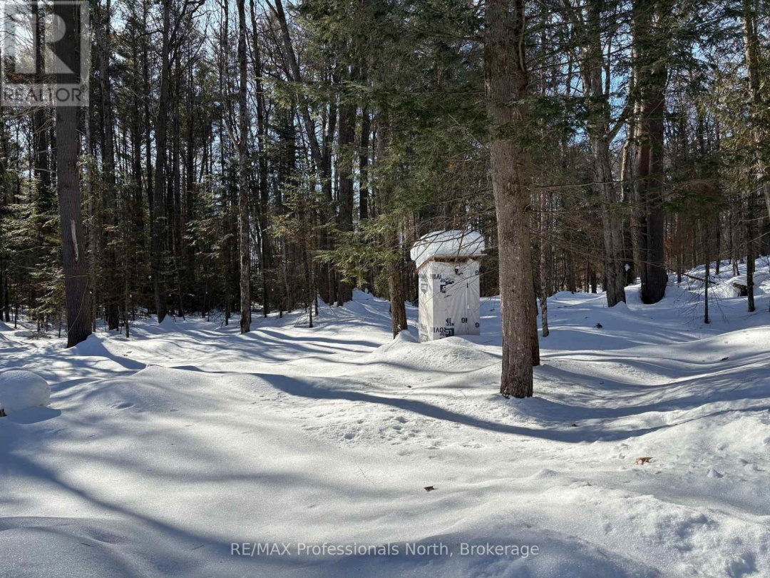 1124 LITTLE HAWK LAKE ROAD, Algonquin Highlands (Stanhope)