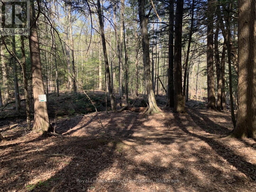 0 KASHAGAWIGAMOG LAKE ROAD, 