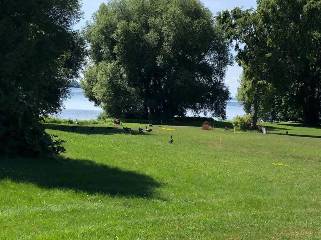 3786 TUPPY DRIVE, Lake Simcoe