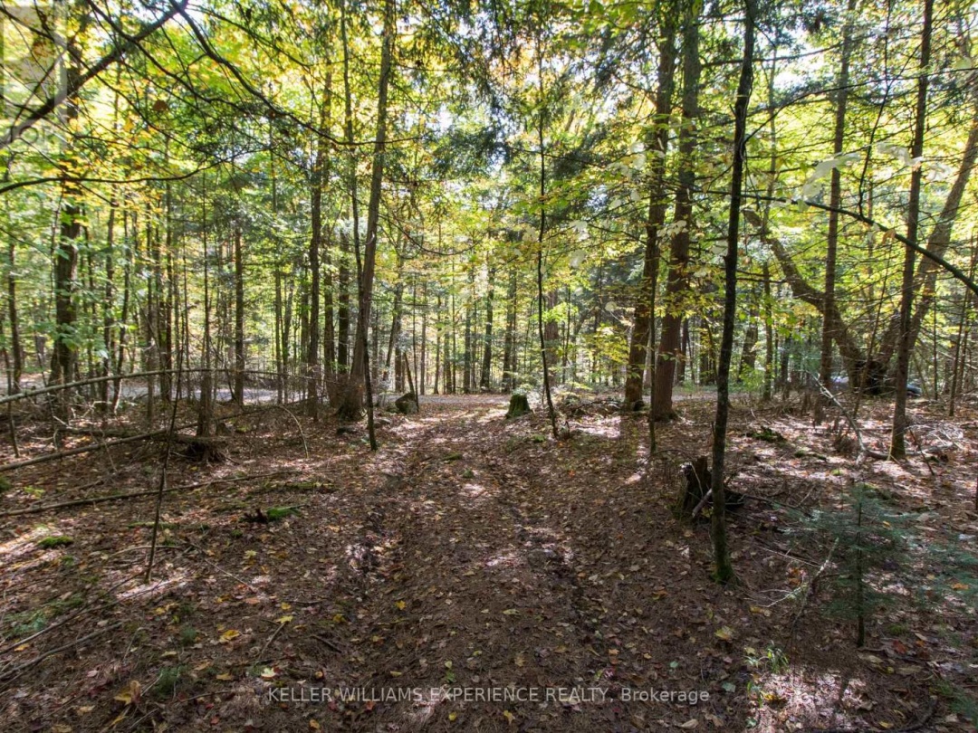 0 LYNX LAKE ROAD, Huntsville (Brunel)