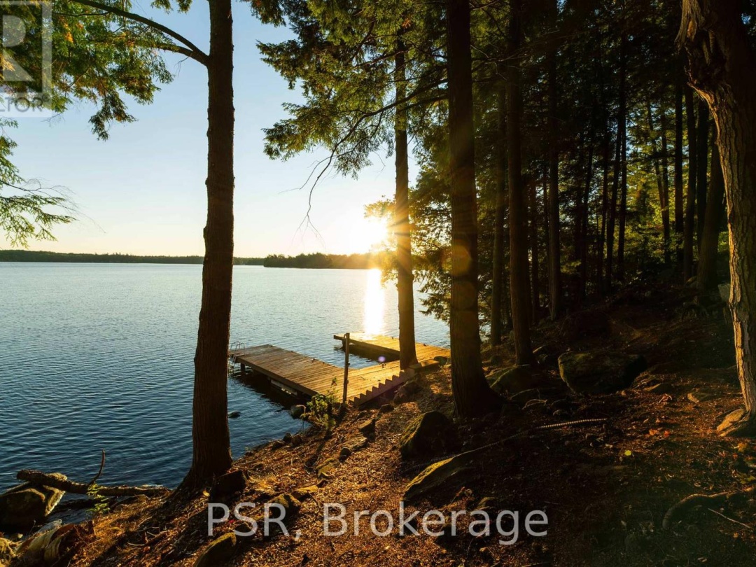 2920 MUSKOKA ROAD 169 ROAD, 