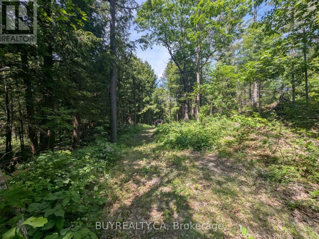 2318 SHERWOOD FOREST LANE, Severn River