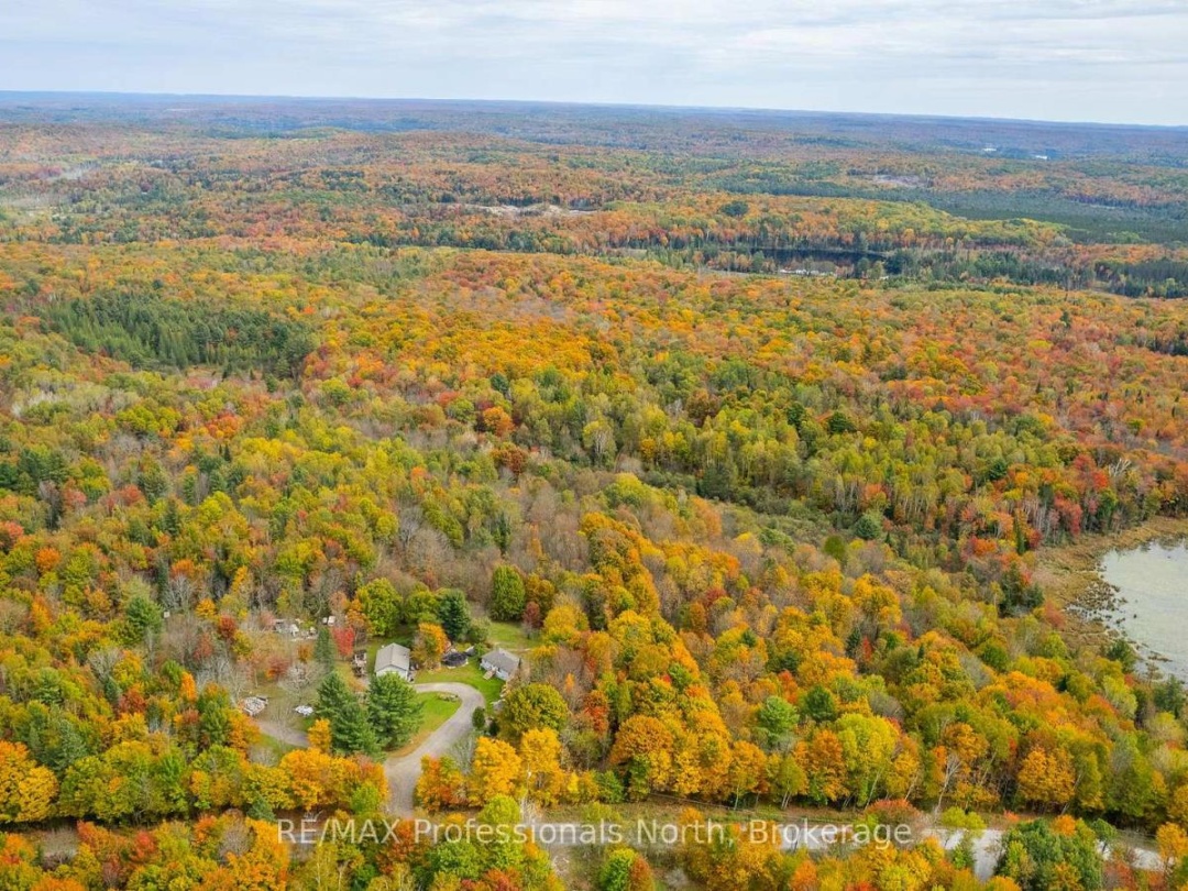 1600 BOBCAYGEON ROAD, Minden Hills (Minden)