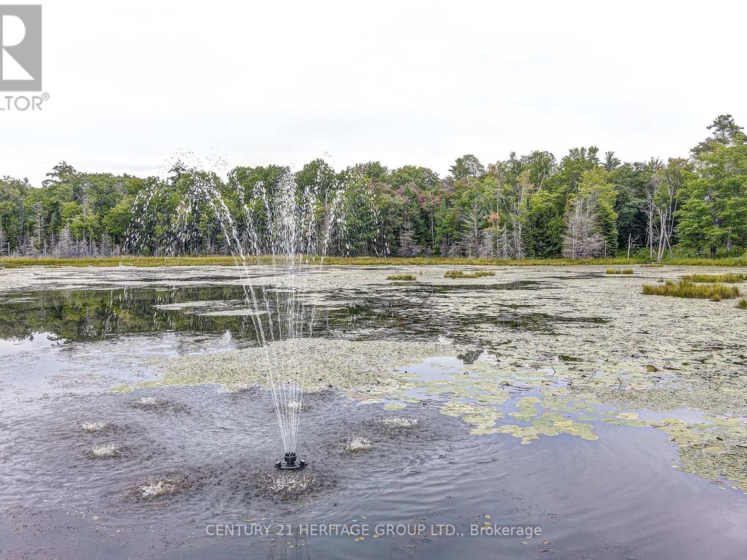 4411 UPPER BIG CHUTE ROAD, 