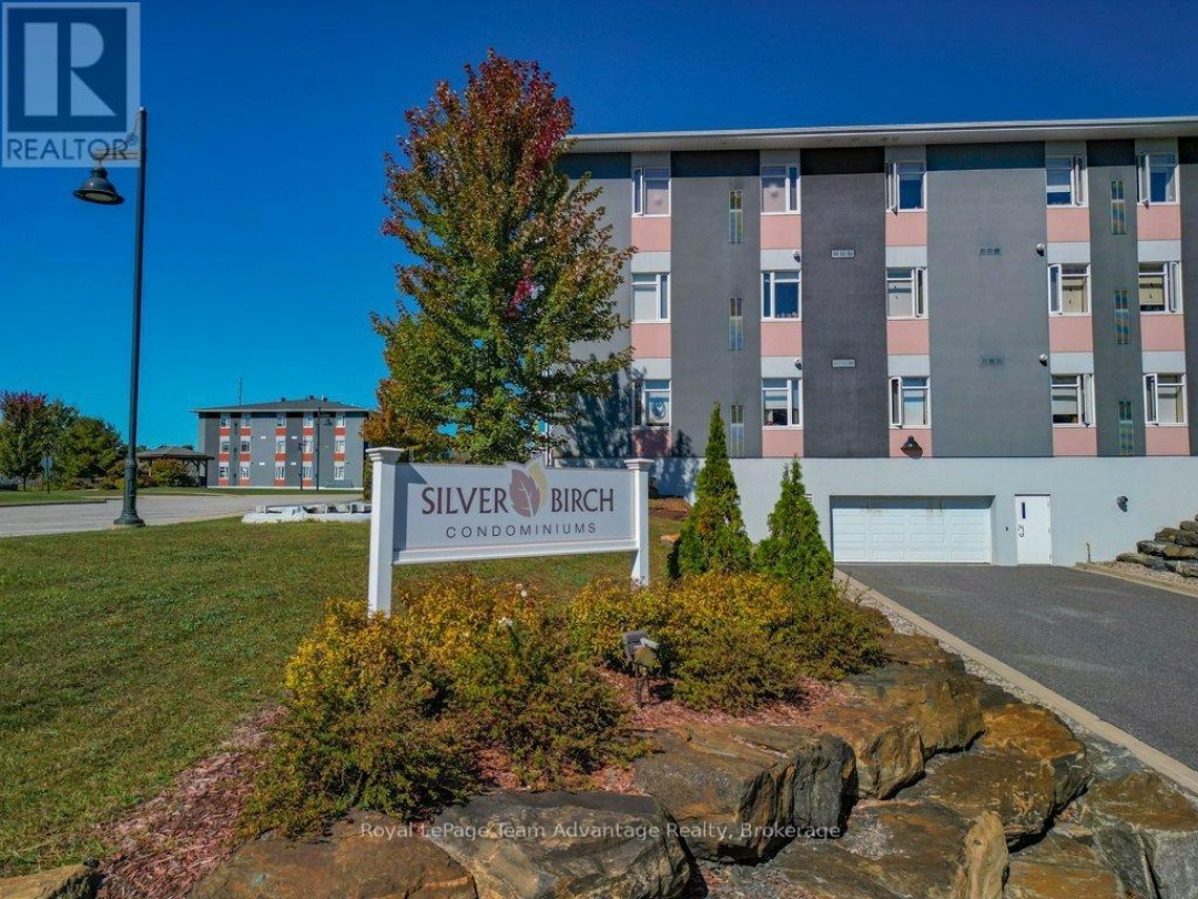 203 - 20A SILVER BIRCH COURT,