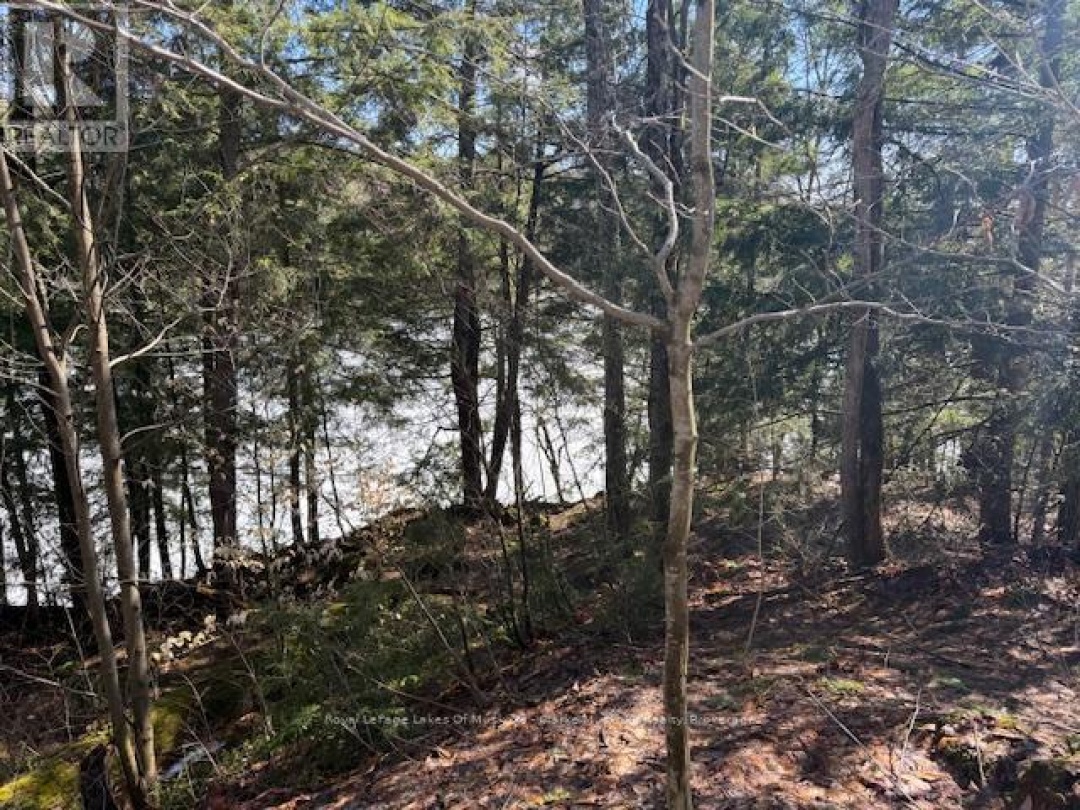 0 SOUTH CRANE LAKE ROAD, Crane Lake