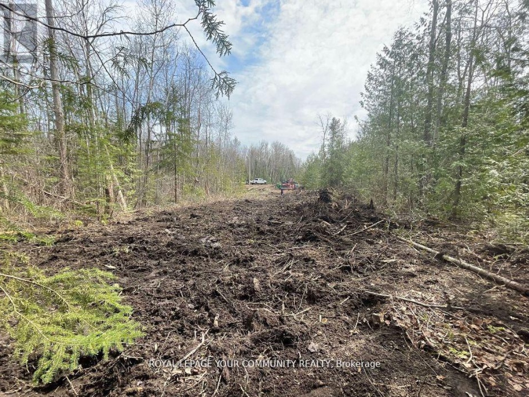 831 CENTENNIAL PARK, Kawartha Lakes (Carden)
