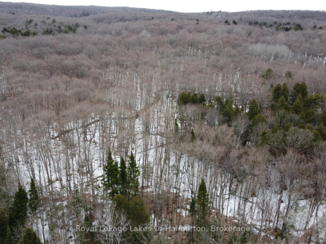 0 KASHAGAWIGAMOG LAKE ROAD, Dysart et al (Dysart)