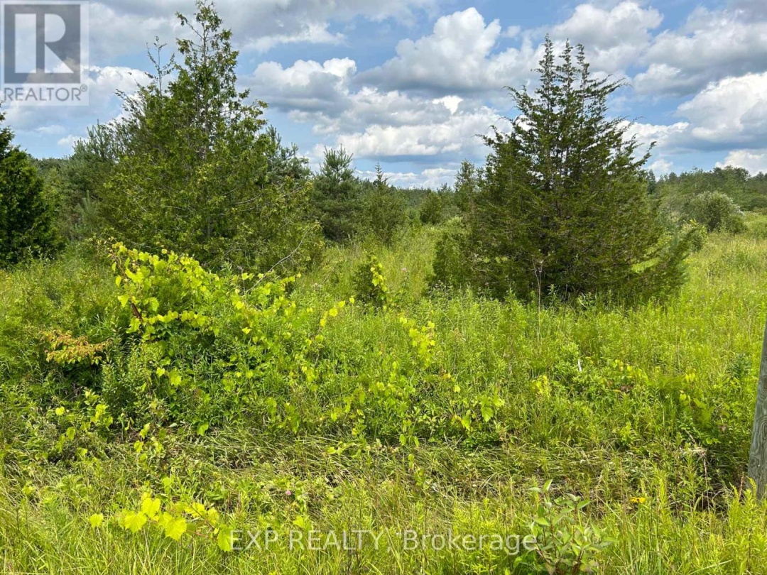 1125 WOOD ROAD, Tay