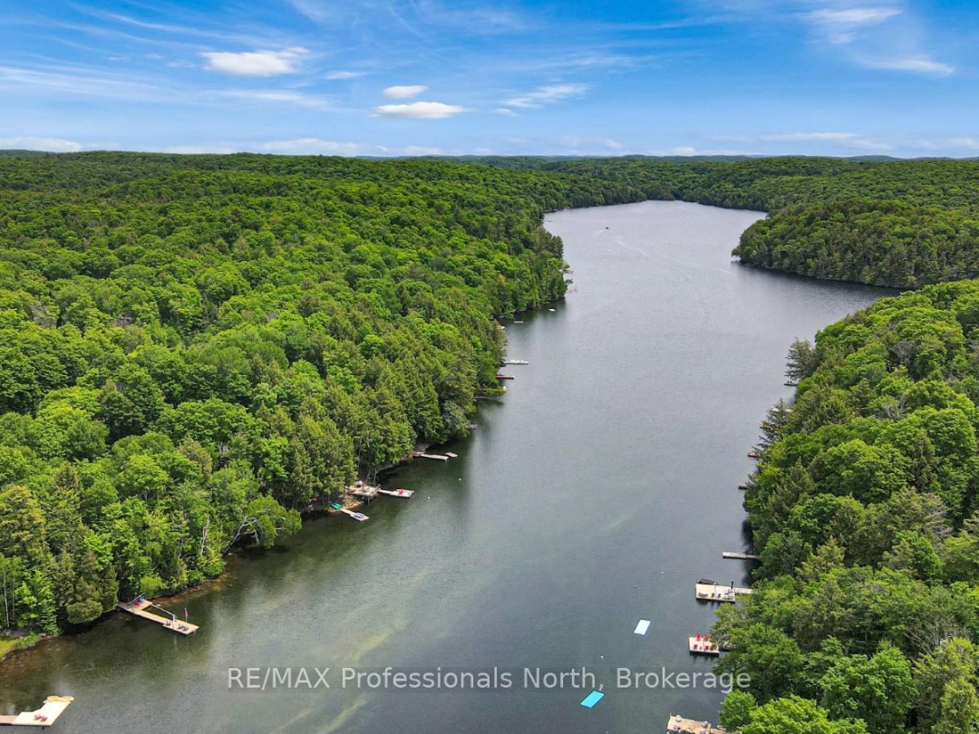 1039 MINK ROAD, Long Lake