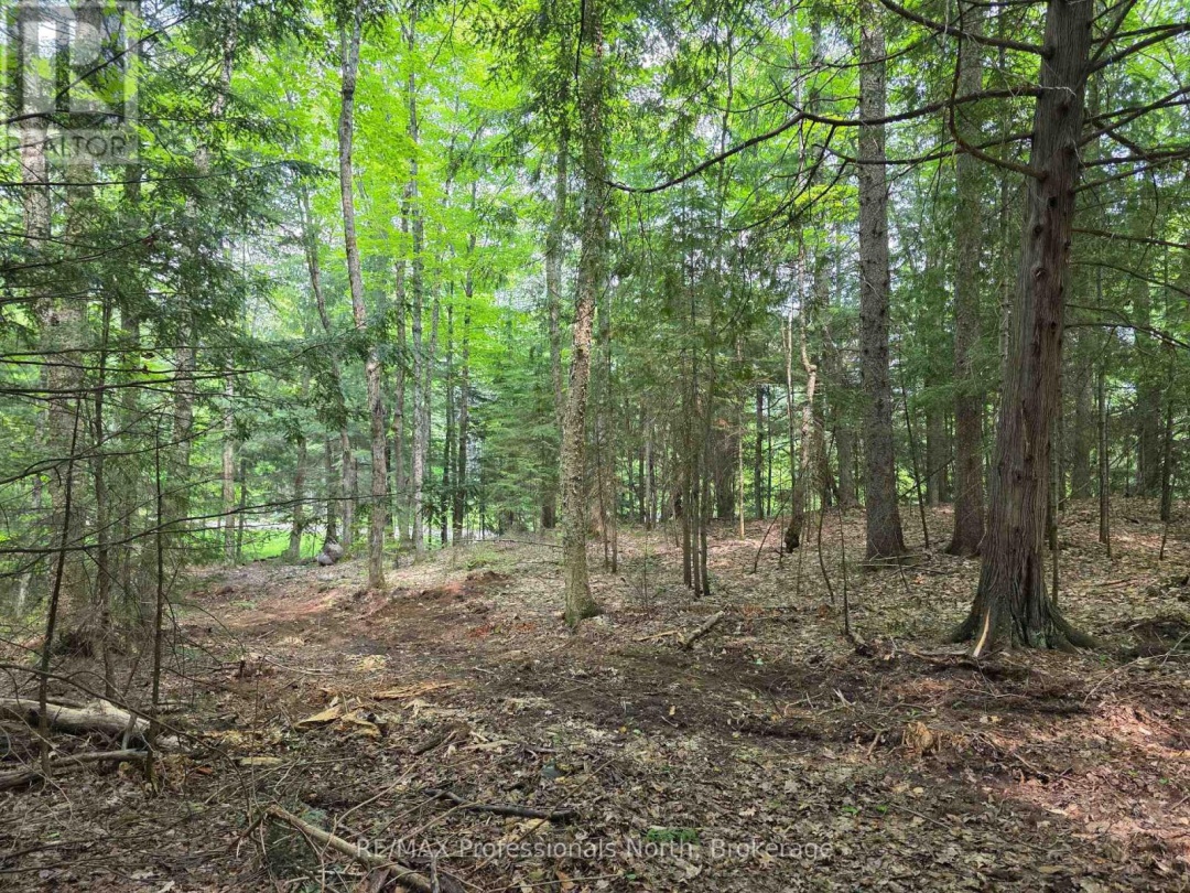 1163 25TH LINE ROAD, Algonquin Highlands (Stanhope)