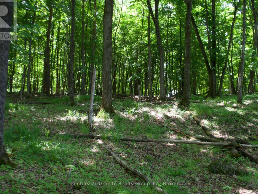 LOT 7 RIDGEVIEW ROAD, 