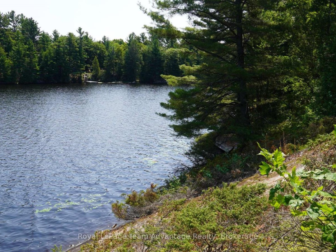 25 PENINSULA SHORE ROAD E, Harris Lake