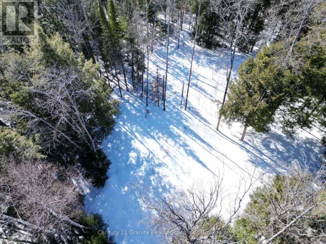 0 INDIAN POINT ROAD, Dysart et al (Dudley)