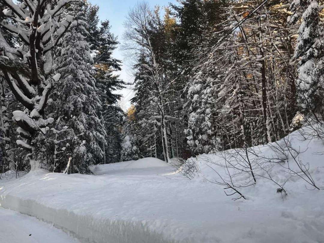 1019 FORRESTER TRAIL, Muskoka River