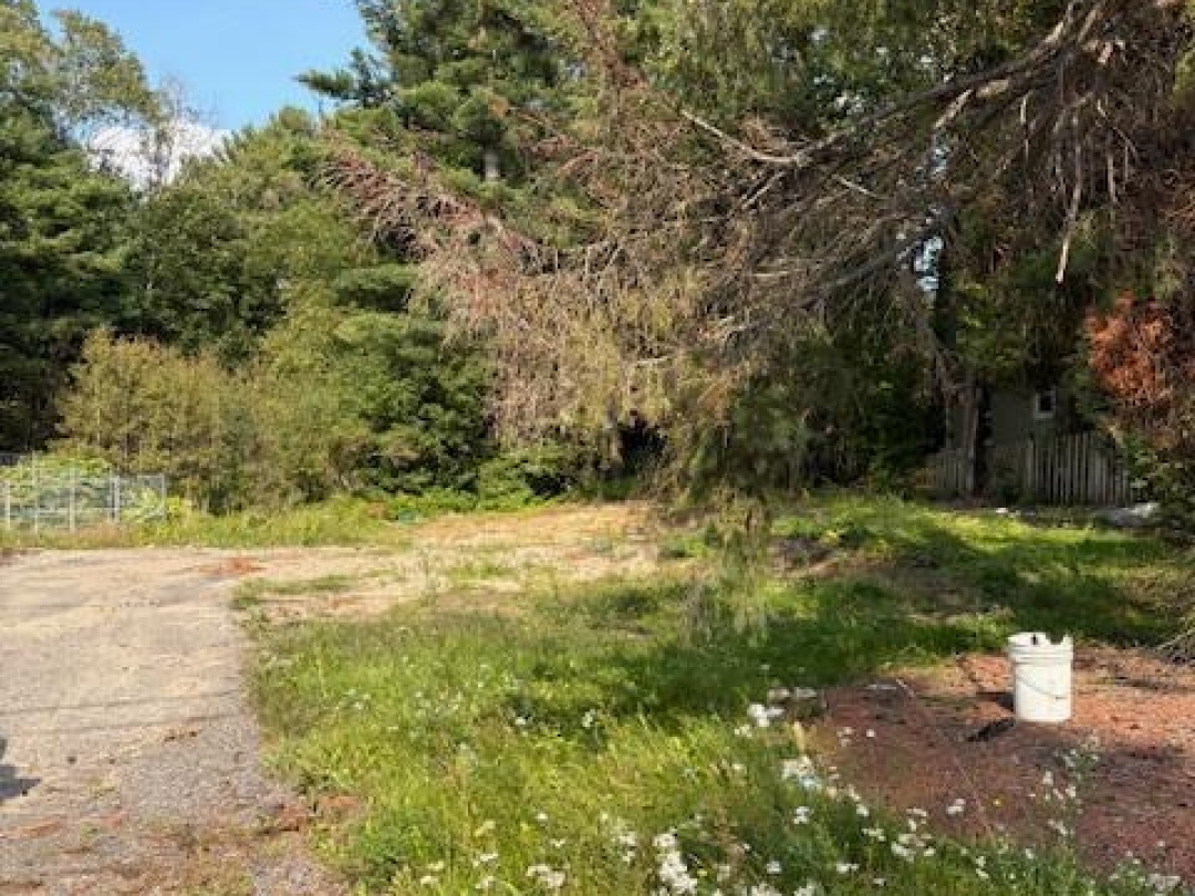 379 MANITOBA STREET, 