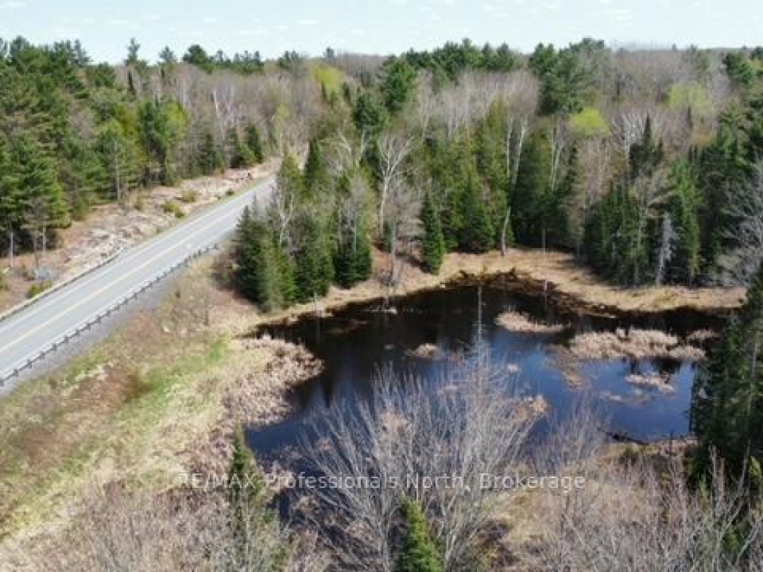 0 BOBCAYGEON ROAD, Minden Hills (Hindon)
