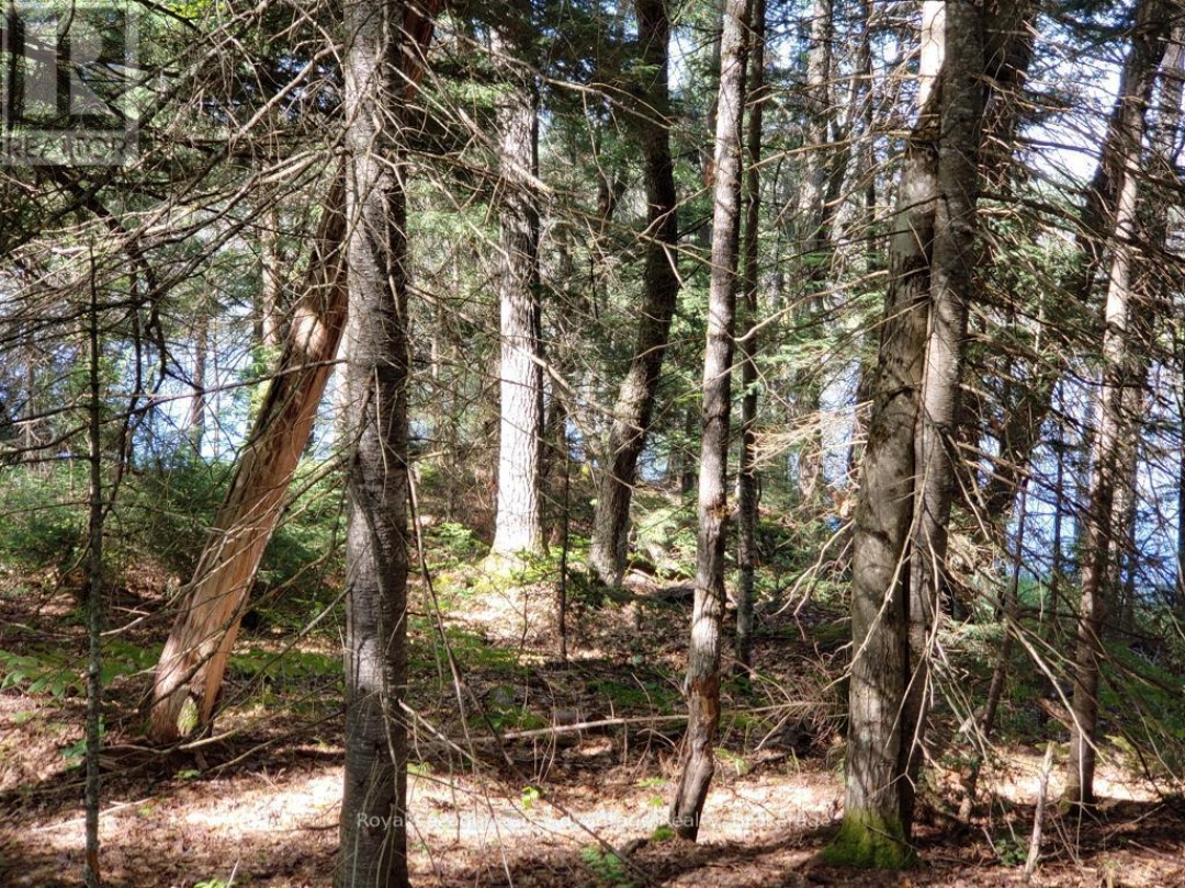 0 UNOPENED ROAD ALLOWANCE ROAD, McKellar