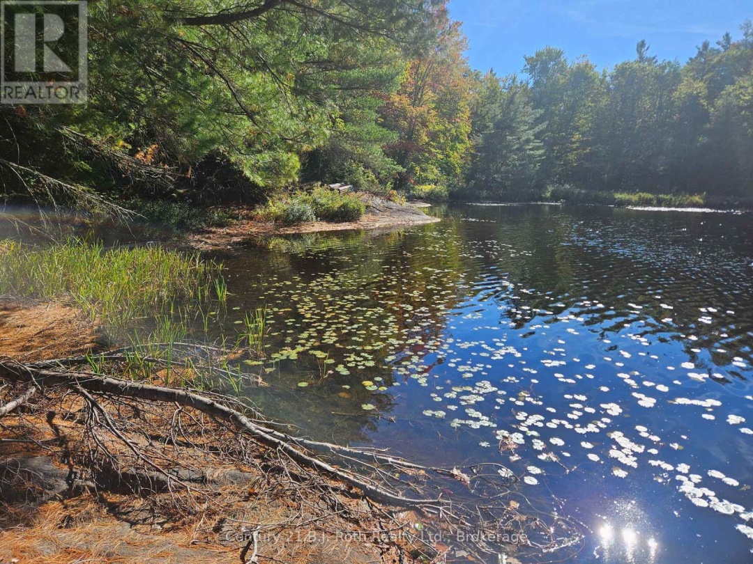 1112 SAM COOK ROAD, Little Sunny Lake