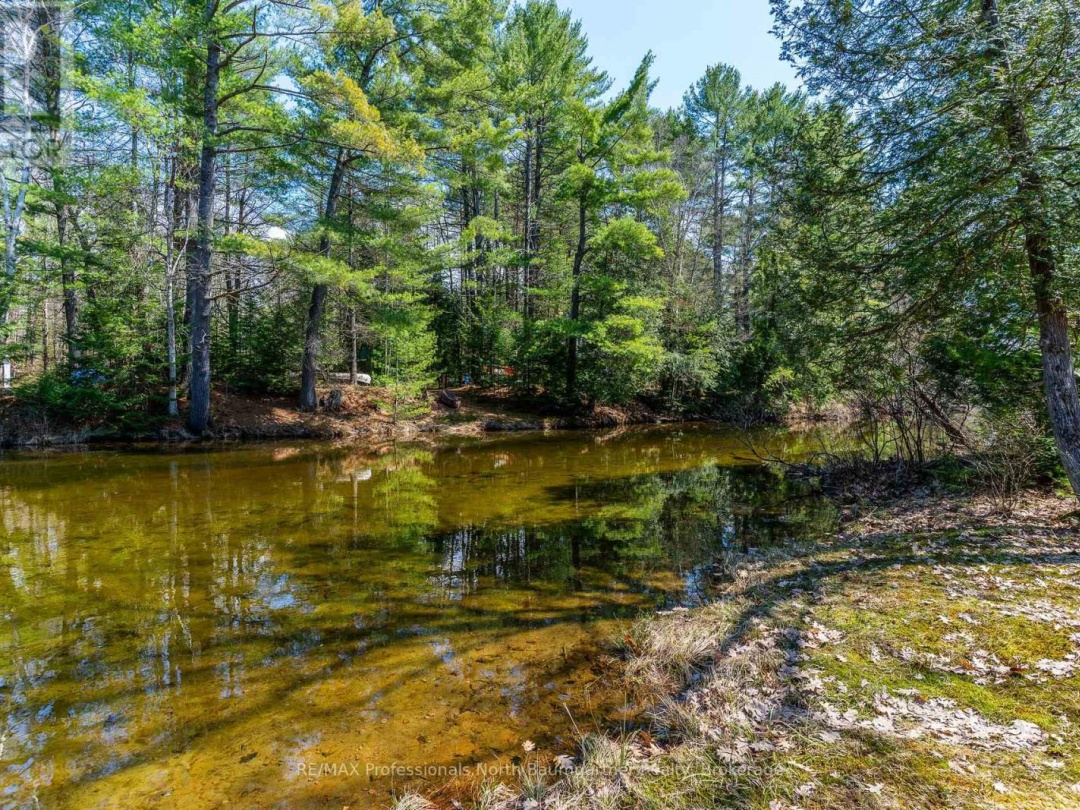 1065 CLOVERLEAF ROAD, Kennisis River