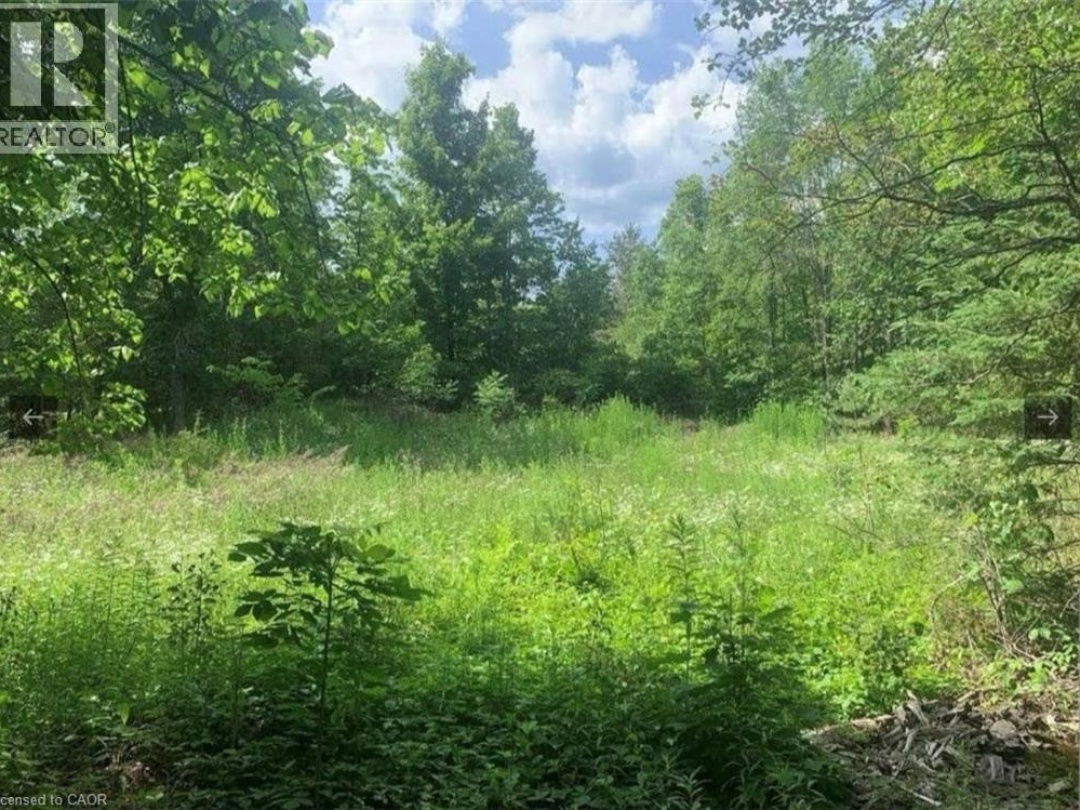 LOT 12 SUTER Drive, Kawartha Lakes