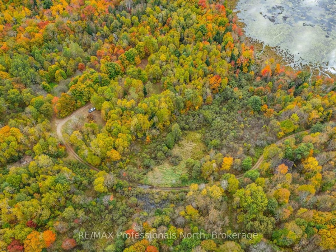 1600 BOBCAYGEON ROAD, Minden Hills (Minden)