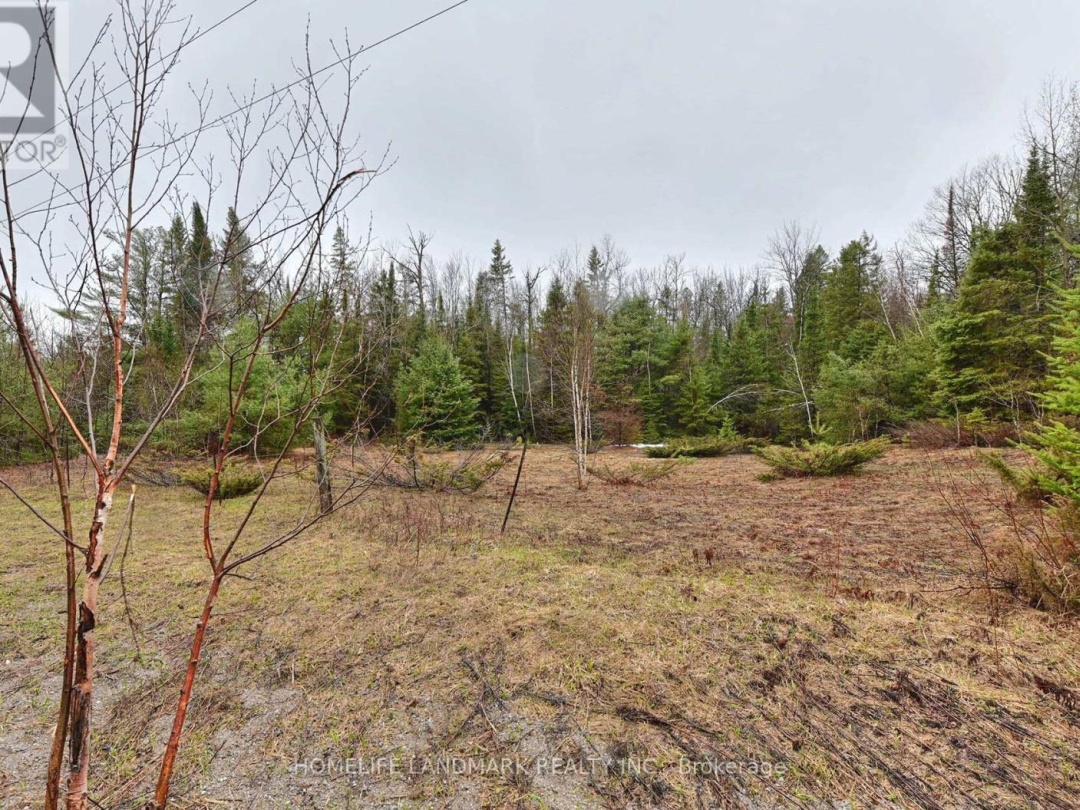 26-28 CHISHOLM TRAIL, Kawartha Lakes (Dalton)