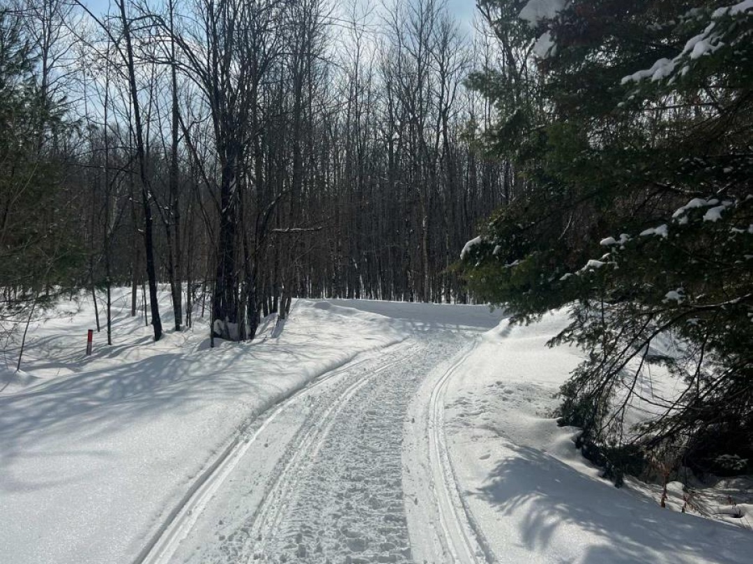 37 LYNBERRY DRIVE, Little Seguin River
