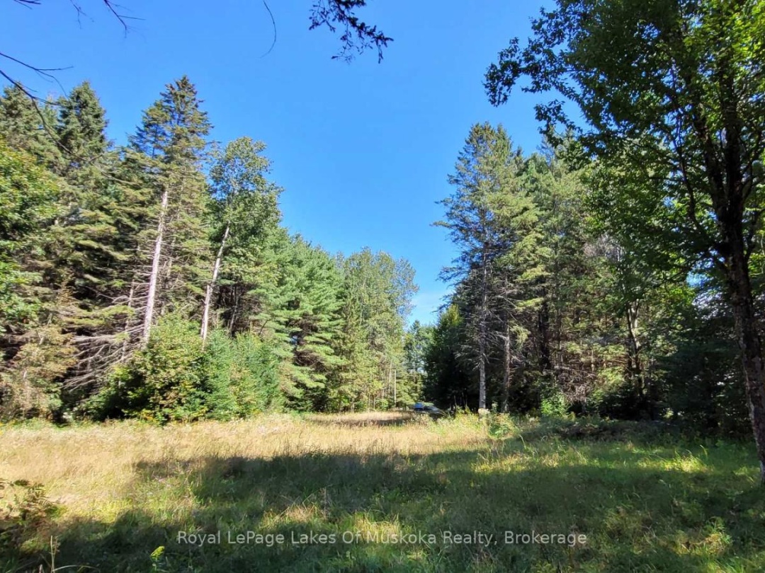 1059 ABLETT COURT, Algonquin Highlands (Stanhope)
