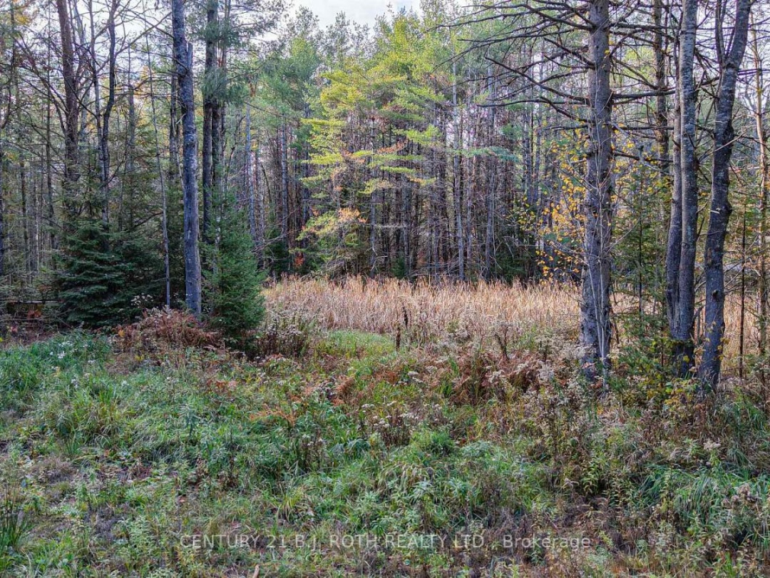1036 HOPKINS ROAD, Gravenhurst (Ryde)