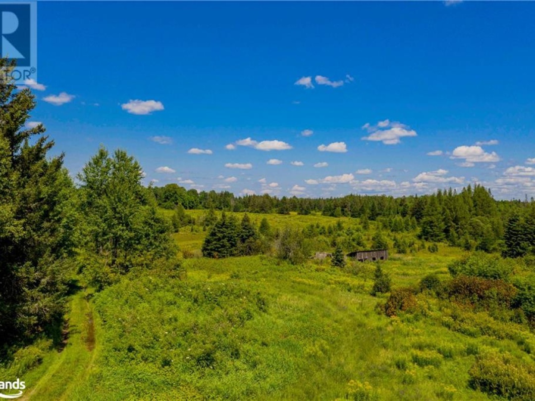 Lot 8 Nelson Lake Road, Magnetawan