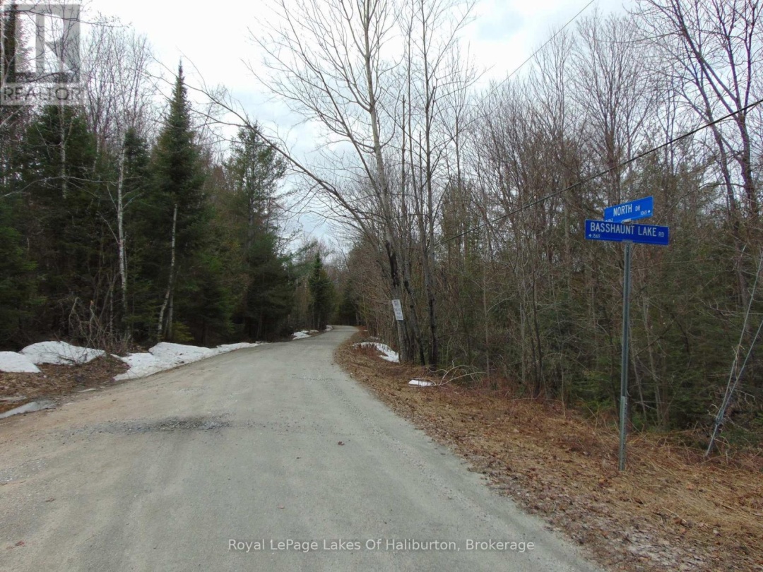 LOT 11 PLAN 580 NORTH DRIVE, Dysart et al (Guilford)