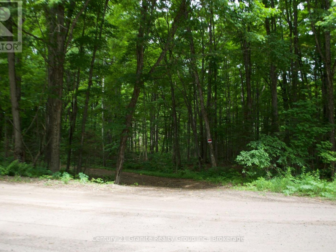 LOT 10 LOON LAKE ROAD S, Loon Lake