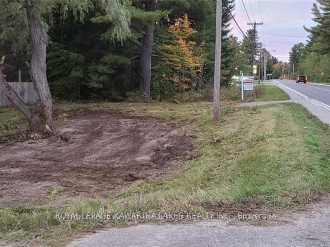 7545 HIGHWAY 35, Kawartha Lakes (Laxton/Digby/Longford)