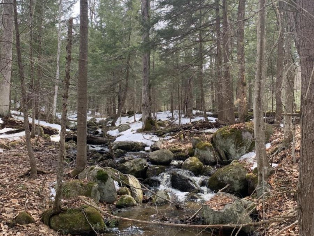 0 KASHAGAWIGAMOG LAKE ROAD, Dysart et al (Dysart)
