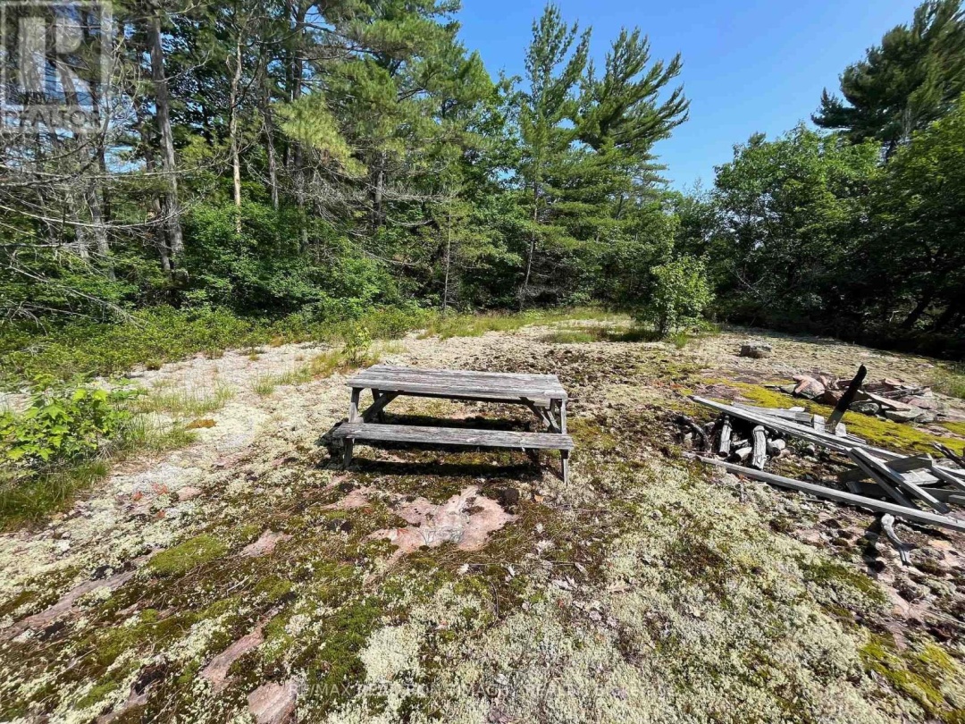 243 PRISQUE ROAD, Georgian Bay