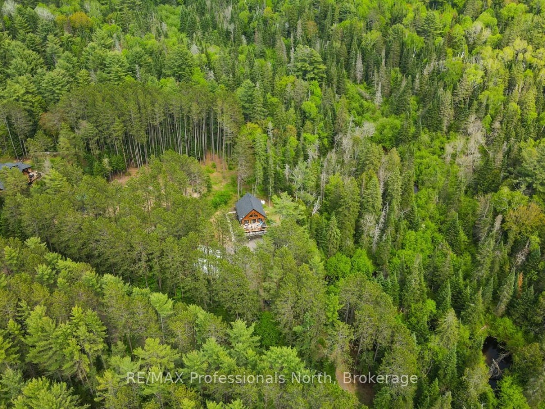 1392 CARROLL ROAD, Dysart et al (Dudley)