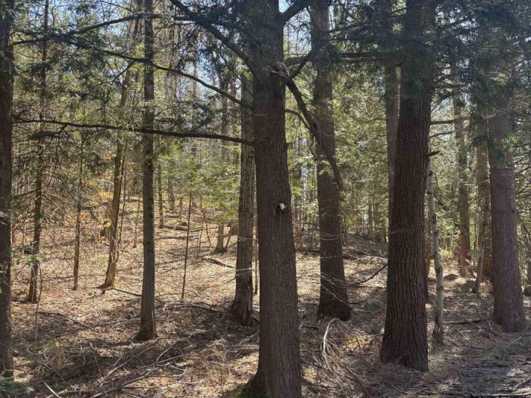 0 KIRKPATRICK LANE, Bracebridge (Draper)