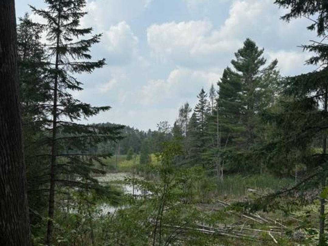 728 GALWAY ROAD, Trent Lakes