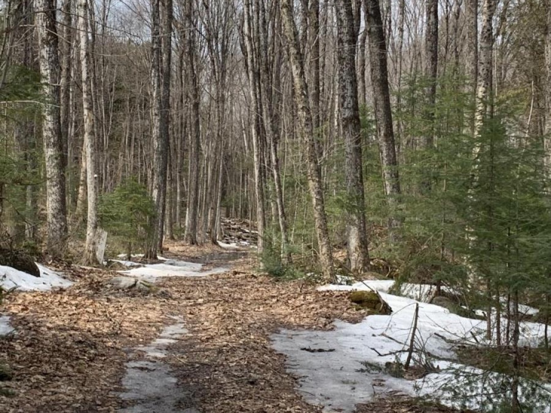 0 KASHAGAWIGAMOG LAKE ROAD, Dysart et al (Dysart)