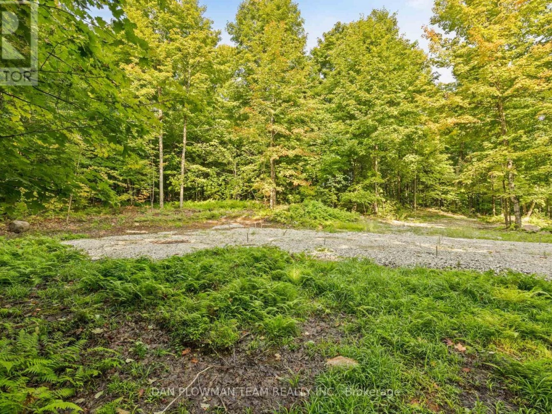 1409 BASSHAUNT LAKE ROAD, Dysart et al (Guilford)