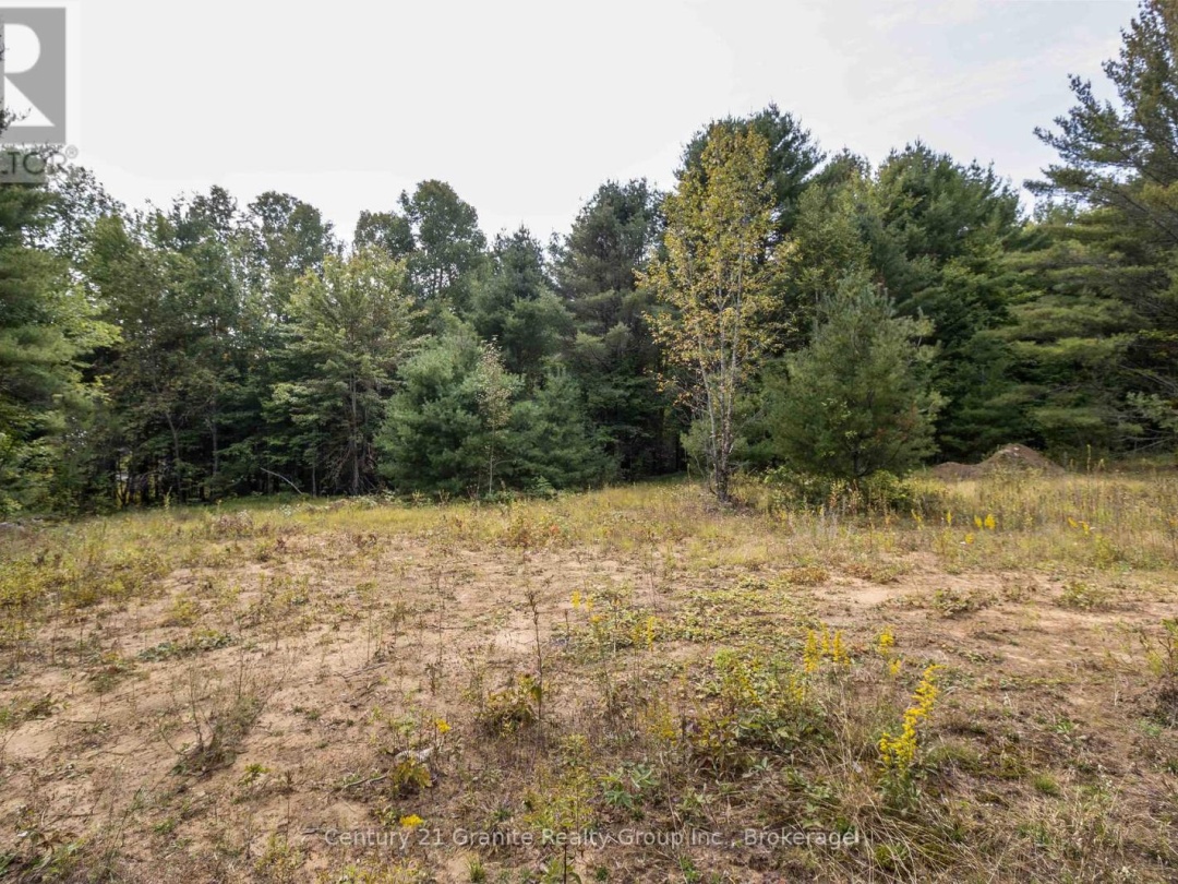 4729 COUNTY ROAD 121, Minden Hills (Lutterworth)