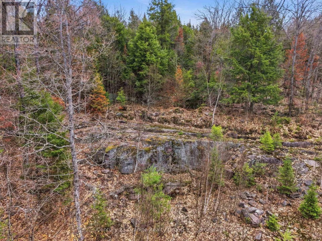 1314 HUNTER CREEK ROAD, Minden Hills (Lutterworth)