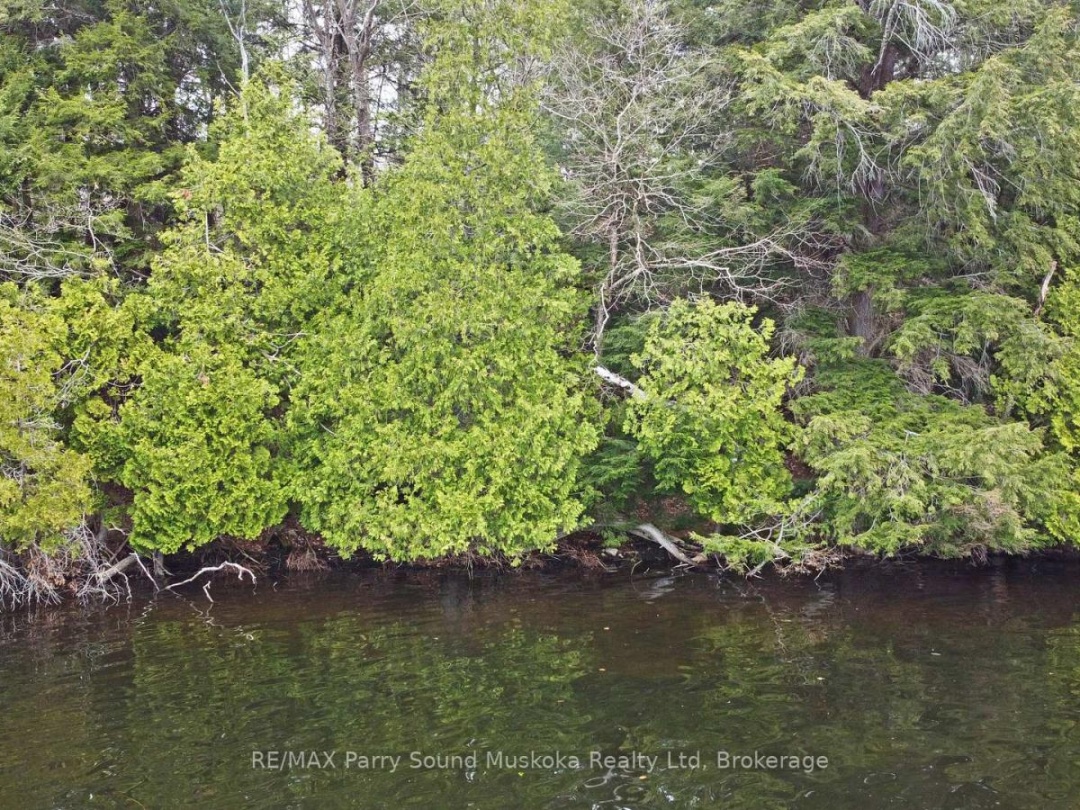 LOT 1 SHIELDS DRIVE, Horseshoe Lake