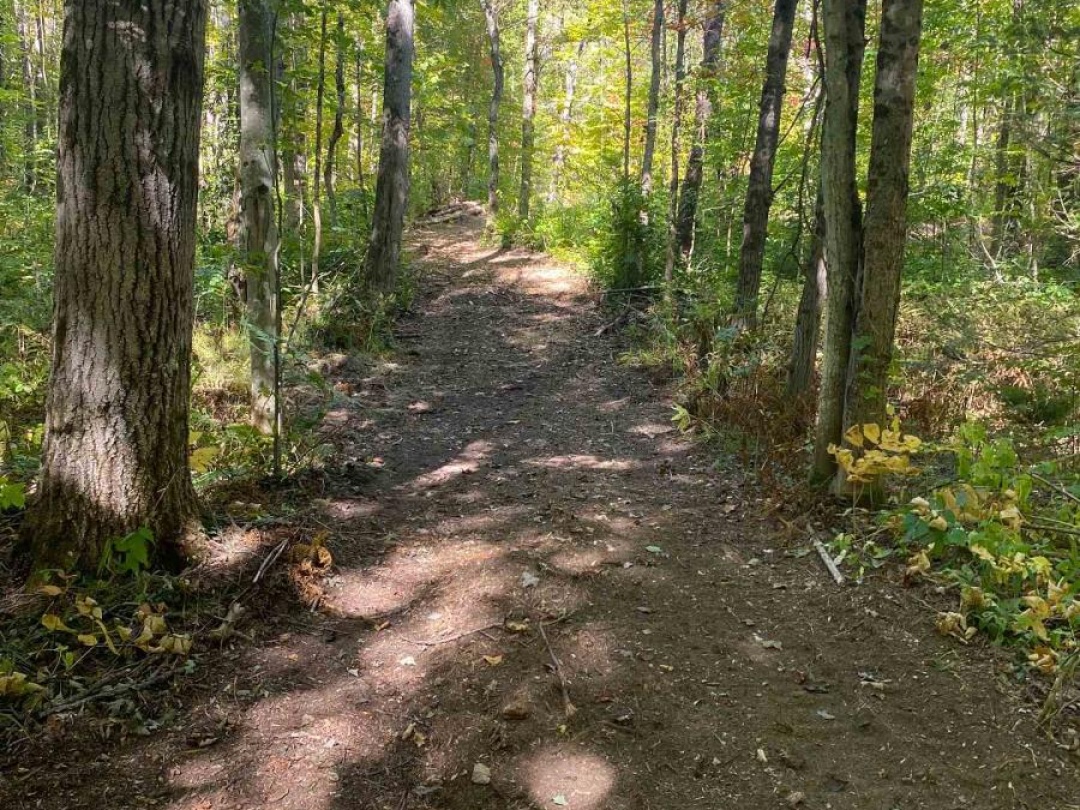 1248 BEIERS ROAD, Gravenhurst (Morrison)