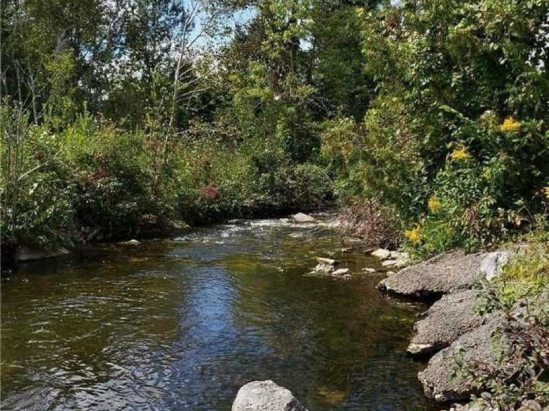 9 TALBOT RIVER ROAD, Kawartha Lakes (Carden)