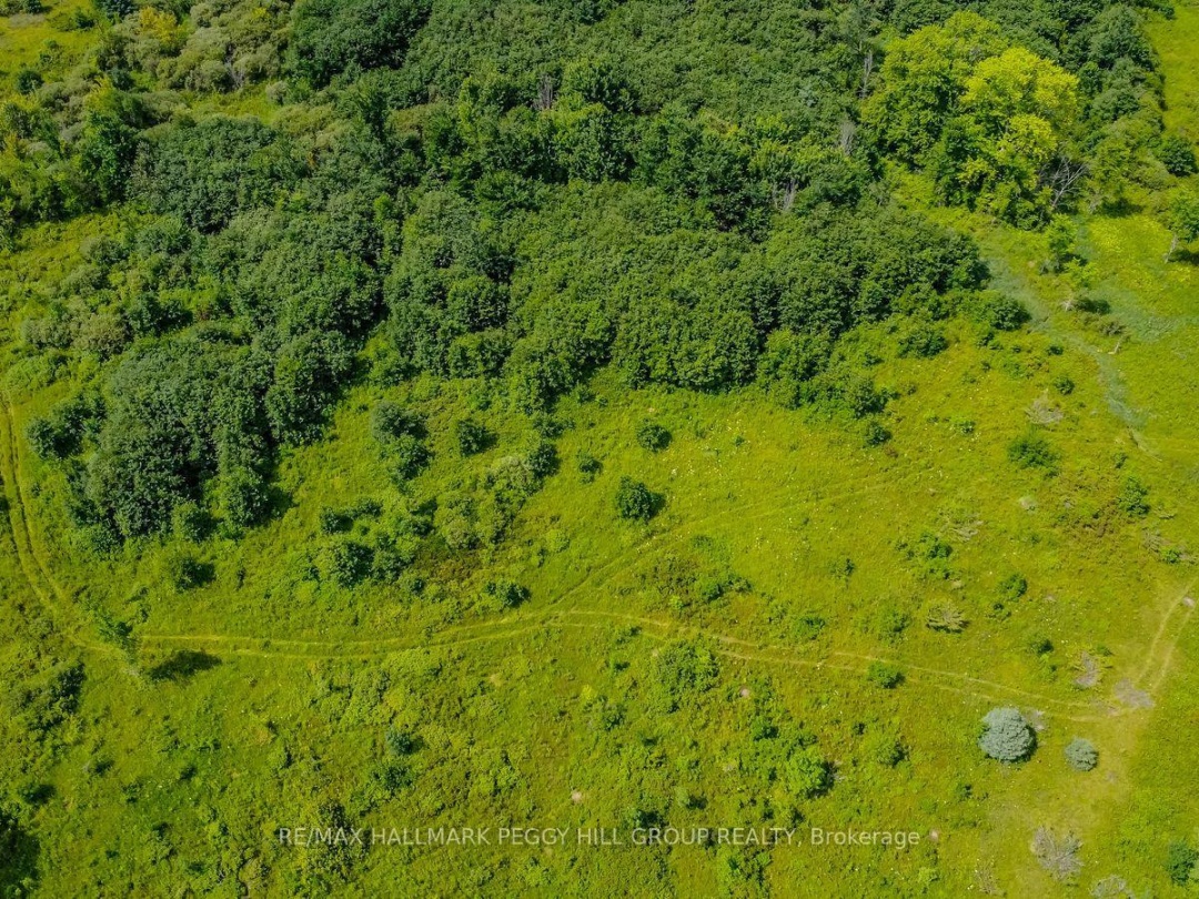 LOT 5 CONCESSION 5, Kawartha Lakes (Carden)