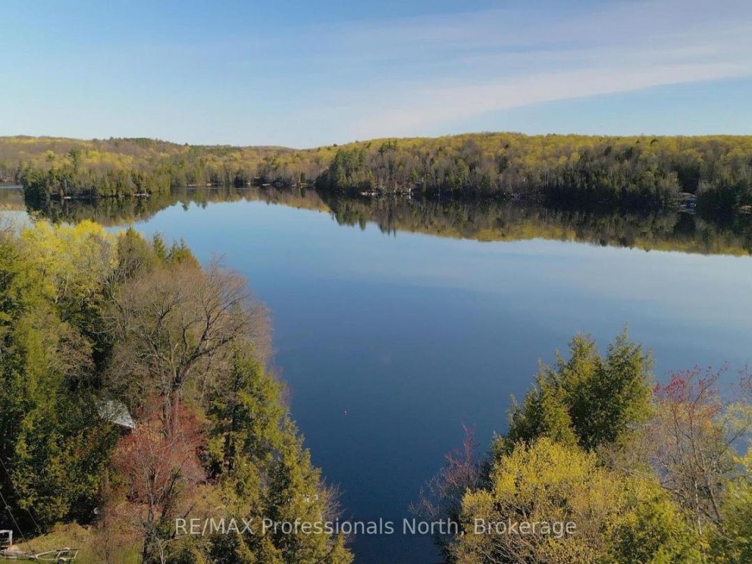 1392 TENNYSON ROAD, Bob Lake