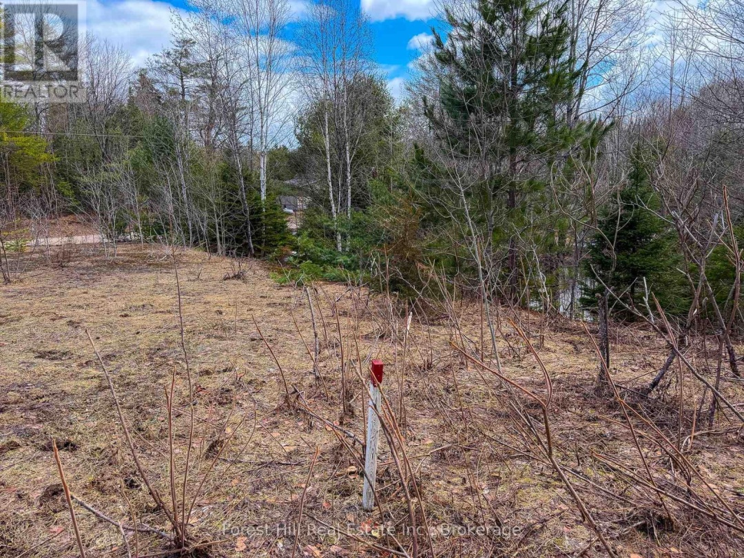 1249 BLACK RIVER ROAD, Bracebridge (Oakley)
