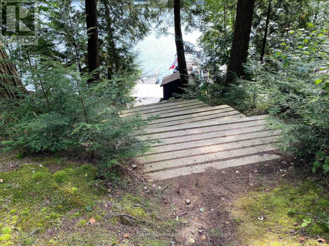 6-236 ISLAND, Otter Lake